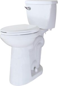 Best tall toilet